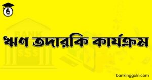 ঋণ তদারকি কার্যক্রম