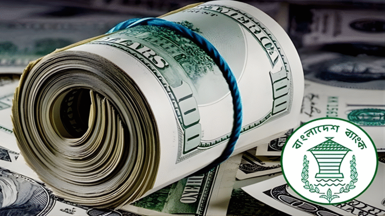 ২০২৫ সালে রেমিট্যান্স ইনফ্লো পৌঁছেছে ১২.২৮ বিলিয়ন ডলারে—১৪.৭% বৃদ্ধি!