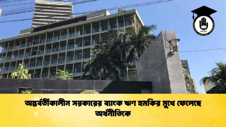অন্তর্বর্তীকালীন সরকারের ব্যাংক ঋণ হুমকির মুখে ফেলেছে অর্থনীতিকে