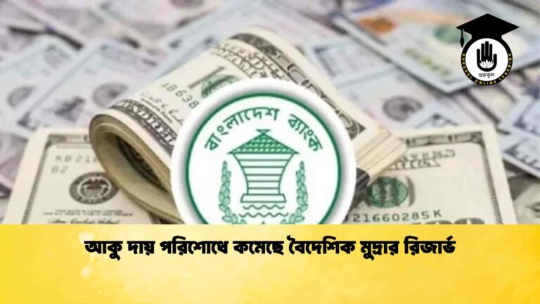আকু দায় পরিশোধে কমেছে বৈদেশিক মুদ্রার রিজার্ভ